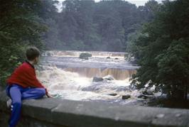 Aidan Neary at Aysgarth Falls