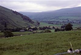 Typical Dales scenery in Swaledale