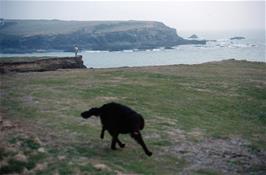 Paul Hamlyn-White admires the fabulous coastal scenery near the hostel at Treyarnon Bay, while our newly-acquired friend, Black Dog, gets in the shot [New scan, July 2019]