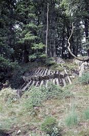 One of the many sculptures in Grizedale Forest Park.  This one is called Cliff Structure, created by Richard Harris in 1977 [Remastered scan, June 2019]