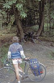 The easily-missed Spiders Web sculpture in Grizedale Forest, spotted by Neil [Remastered scan, June 2019]