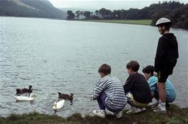 The Buttermere ducks [Remastered scan, June 2019]