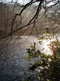 The River Dart, from Hembury Woods