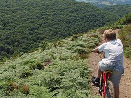 Josh Ham checks out the view of the Teign Valley from the Hunters' Path