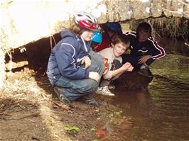 The youngsters explore underneath Littlehempston Bridge