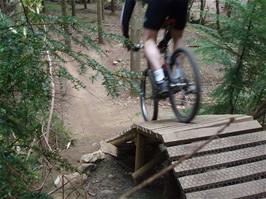 Tao tries out the Black ramp at the new Haldon Forest Park