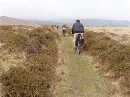 The start of the bridleway near Combestone Tor