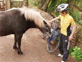 A friendly horse detects food in Michael's pannier
