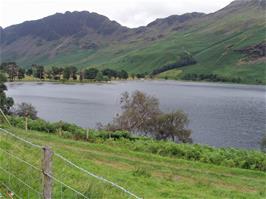 Looking back to the Buttermere Pines