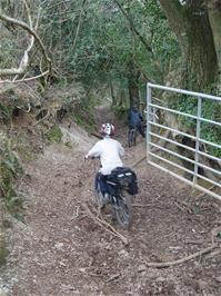 Alex and Zac enter the woodland track to Lower Combe
