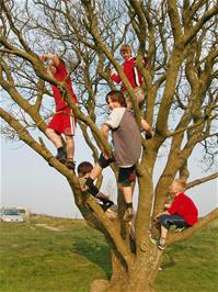 The youngsters wait for Michael in a tree near Priddy