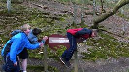 Our naughty youngsters disregard the signs at the Cornish Seal Sanctuary