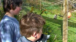 Zac and Ash hear about the Woolly Monkeys at the Monkey Sanctuary from one of the keepers, 16.5 miles into the ride