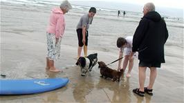 Ash and Zac enjoy talking to a couple and their two delightful dogs on Perranporth Beach 