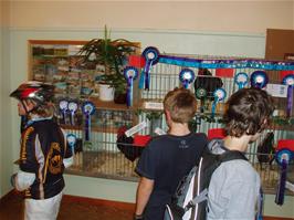 Olly, Sam and Freddie check out the winners' cages at Rattery Poultry Show