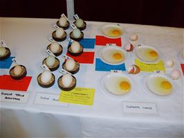 The egg display at Rattery Poultry Show - new photo for 2024