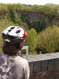 Zac checks out the Peregrine Falcon