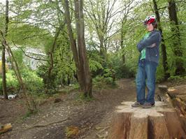 Zac poses for a low-light photo in Whiddon Scrubs wood, halfway down the track - new photo for 2024