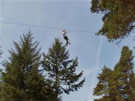 The Go Ape forest adventure course - new photo for 2024