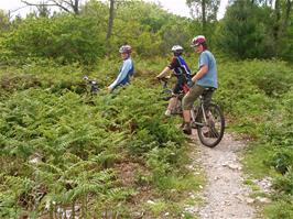 Olly, Ashley and Zac on the Red Trail