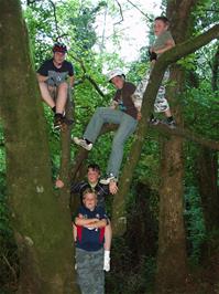 Zac, Ryan, Tom, Ash and Matt in the tree on the Lower Hembury Track