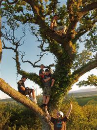 Everyone in position on the tree