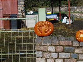 Expert pumpkins on display along Colston road