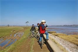 The path along the Exe estuary, near Powderham