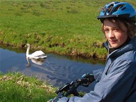 Hallam Iles with the swan on Beer Drove, Somerset Levels