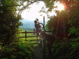 Taking the track from Chasegate alongside Kinghurst Down Wood