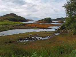 Enard Bay