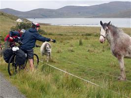 Zac makes a new friend near Luib on the Isle of Skye