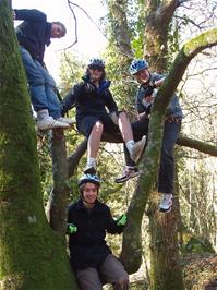 Our favourite tree on the lower Hembury track