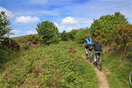 Ash and Callum O'Brien following the bridleway from Moor Cross to Skerraton Down