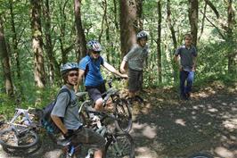 The track through Holne Woods