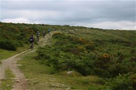 Ash, Callum, Jack and Julian on Dr Blackall's Drive