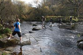 Stepping stones across the West Dart River