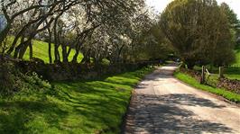 Approaching Swinbrook, 13.7 miles into the ride