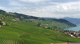 The vineyards continue as far as the eye can see from our superb viewpoint at the Restaurant du Monde, Grandvaux