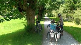 A tree-climbing stop in the shade near Camping Fankhauser, Zweisimmen, 19.2 miles into the ride and still not even half way to Interlaken