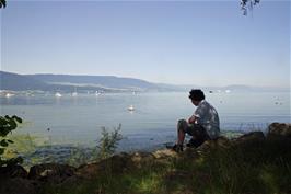 Lawrence by Lake Neuchâtel near Yvonand