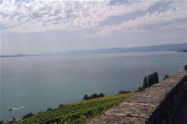View back to Lake Geneva from the Villette Vineyards, Rte de la Petite Corniche, Lutry