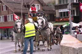 A delightful tourist horse and trap in Andermatt