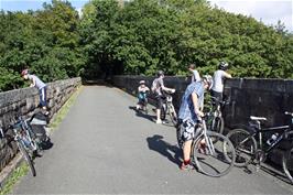 One of the viaducts on the Plym Valley cycleway