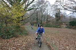 Riding the track to Hembury fort