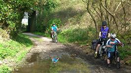 The Mevagissey cycle path gets a bit mucky at Peruppa Farm