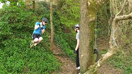 Tree-swinging fun on the coast path to Portholland