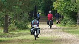 Continuing along the railway path near Holmsley, 14.9 miles into the ride