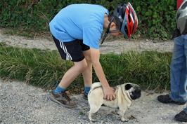 George meets a pair of pugs and their owner near Wells Bottom, New Court Down, on the track from Whitsbury to Odstock