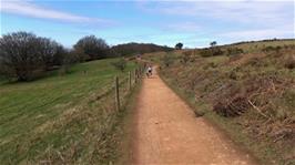 Following the Quantocks Track on Lydeard Hill